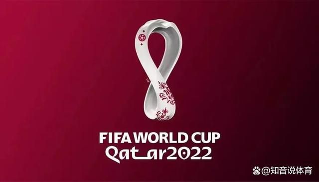 国产v无毛