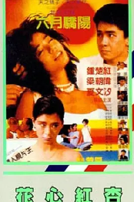 日韩精品导航