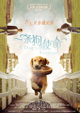 亚洲a级片在线观看