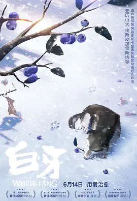 深夜福利在线播放