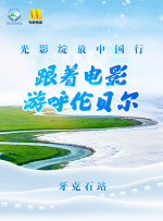 巨龙征母完结版小说txt