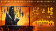 一本岛高清v不卡免费一三区