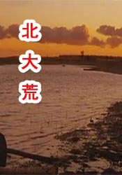 中文字幕精品在线观看