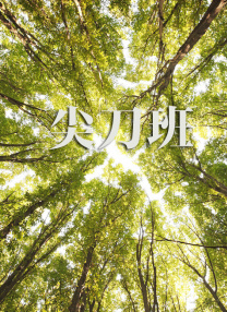 免费成人午夜视频