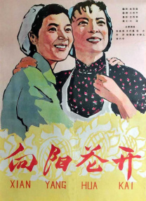 美女少妇直播