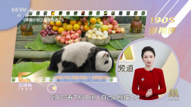 亚洲精品在线视频免费观看